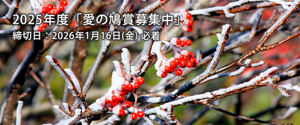 �����̖��X